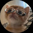k8AIGrn9-a8-channel-avatar-Nick Nextbots