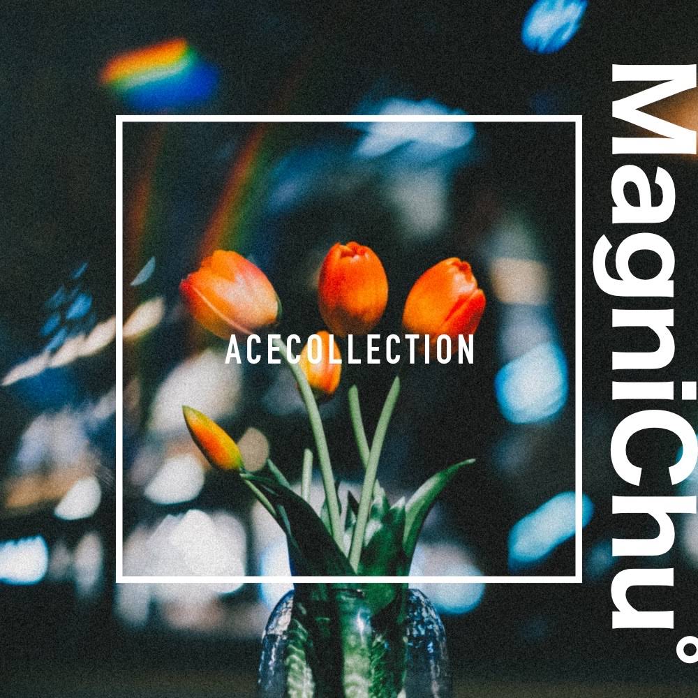 ミュージシャン ACECOLLECTION ACE COLLECTION | Collaborator Analytics | Songstats
