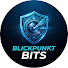 vAfDuWxoBsg-channel-avatar-Blickpunkt BITS