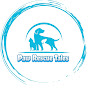 Paw Rescue Tales logo