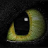 RDQCah0HM7c-channel-avatar-iitsNotMikeB