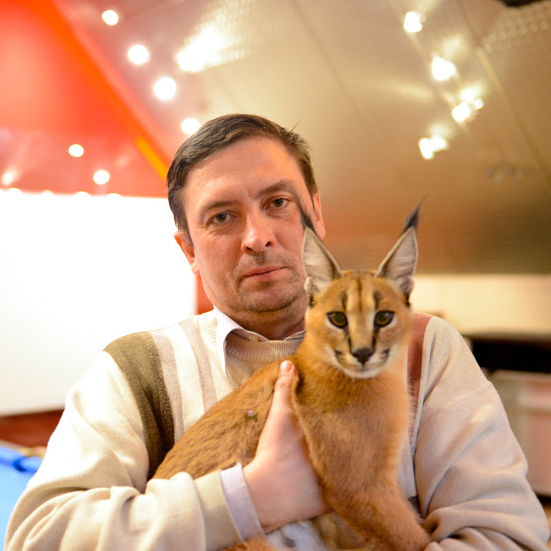 Владимир Масленников Logo