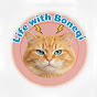 Boneqi Cat’s Life logo