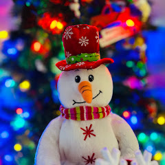 Snowy’s Animatronics net worth