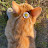 @India-fb1ol