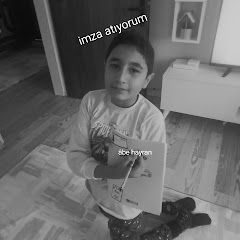 Sigma -ABİ