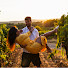 UhJx8vgMEcY-channel-avatar-Rull i Rutan