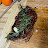 @ChefTexas
