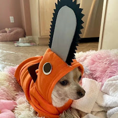 いぬまる。