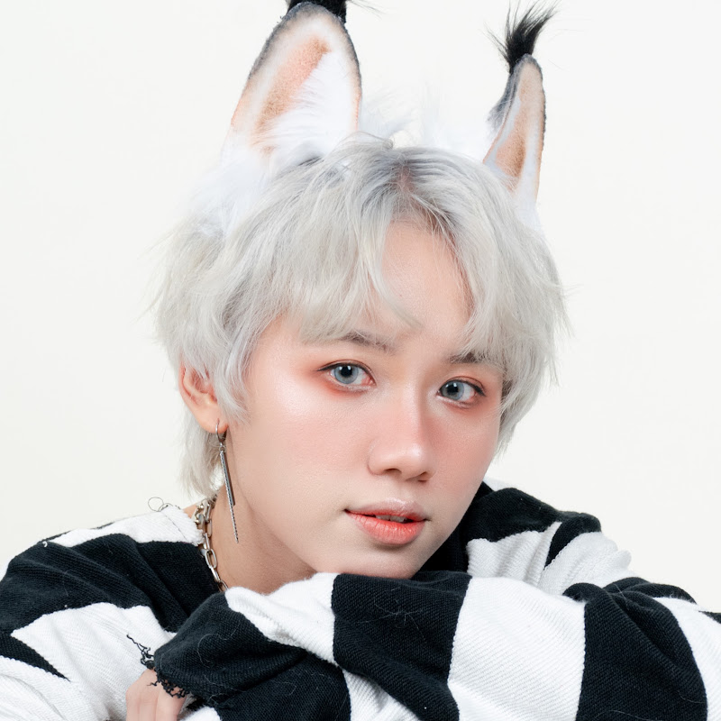 Kit Gatto