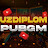 UZDIPLOM_PUBGM