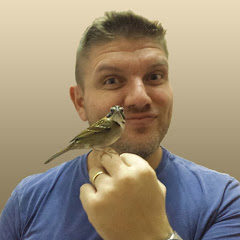 Alejunglesongs avatar