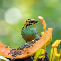 ここに物語がある