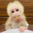 AC6g-vvN3LU-channel-avatar-Rum monkey