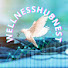 MKQA3b8D_zg-channel-avatar-wellnesshubnest 