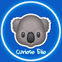 Curioso Elio Image Thumbnail