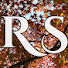 fPzXOM35lms-channel-avatar-Respect-Sure