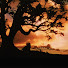 JAq2QrmVd_c-channel-avatar-Bling Vlogs Promo Videos