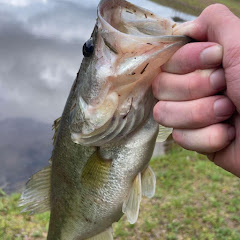 UrbanHooks