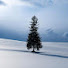 7_nD37ZFPxM-channel-avatar-白雪
