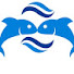 QRPPSXB8oDQ-channel-avatar-Fishing Video 