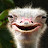 @Dumb_ostrich