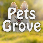 Pets Grove