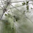 @greenhousesubs