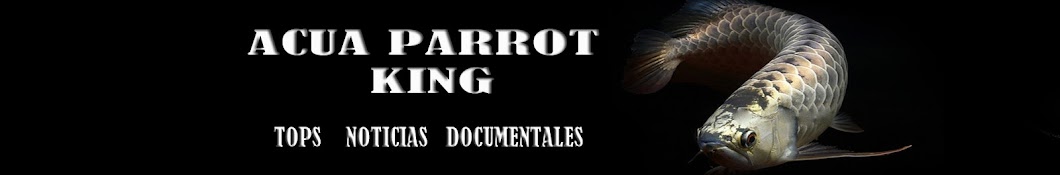 ACUA PARROT KING Avatar canale YouTube 
