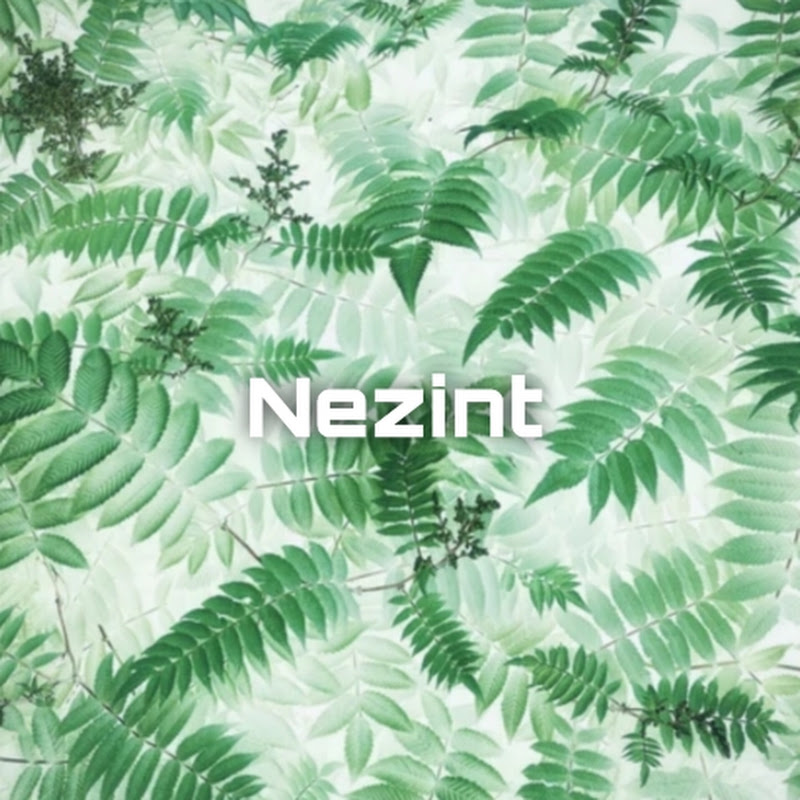 Nezint avatar
