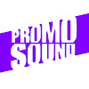 What could Promo Sound buy with $137.52 thousand?