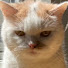 mnOlkSWCut8-channel-avatar-mknit