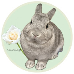 にわうさぎ -小さな庭のガーデニングVlog-アイコン画像