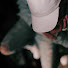 f_vyZTBA7QU-channel-avatar-808Olly and 808Mobb
