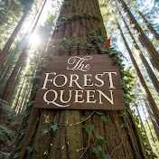 The Forest Queen