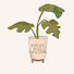 csbwu214uPg-channel-avatar-Study for growth