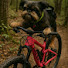 b2vSptmSMM8-channel-avatar-Bikers Den Adventures and Fitness