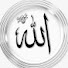 5eGeZVqciew-channel-avatar-shaan Rahmani official