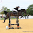 j57AVD5cpIo-channel-avatar-Keira_Eventing23