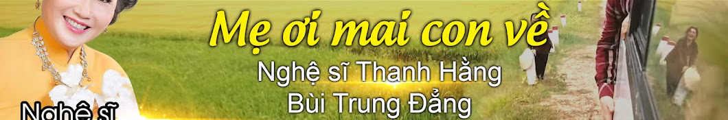 Nghá»‡ sÄ© Thanh Háº±ng YouTube 频道头像