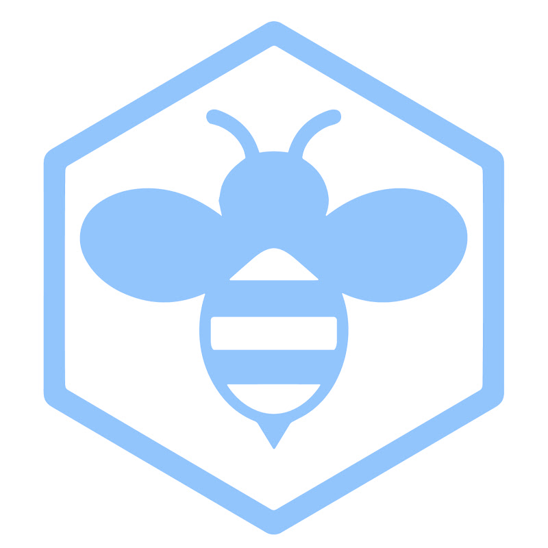 The Learning Hive Academy