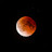 @redmoon2331