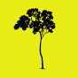 Jamie Tree  Avatar