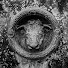 Vdd5eFntoW4-channel-avatar-Irresponsible Pictures