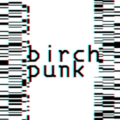 birchpunk net worth