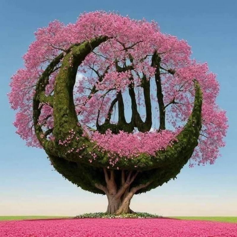 ISLAMIC LIGHT 