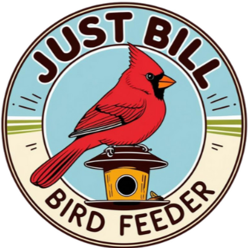 Just Bill Bird Live Stream