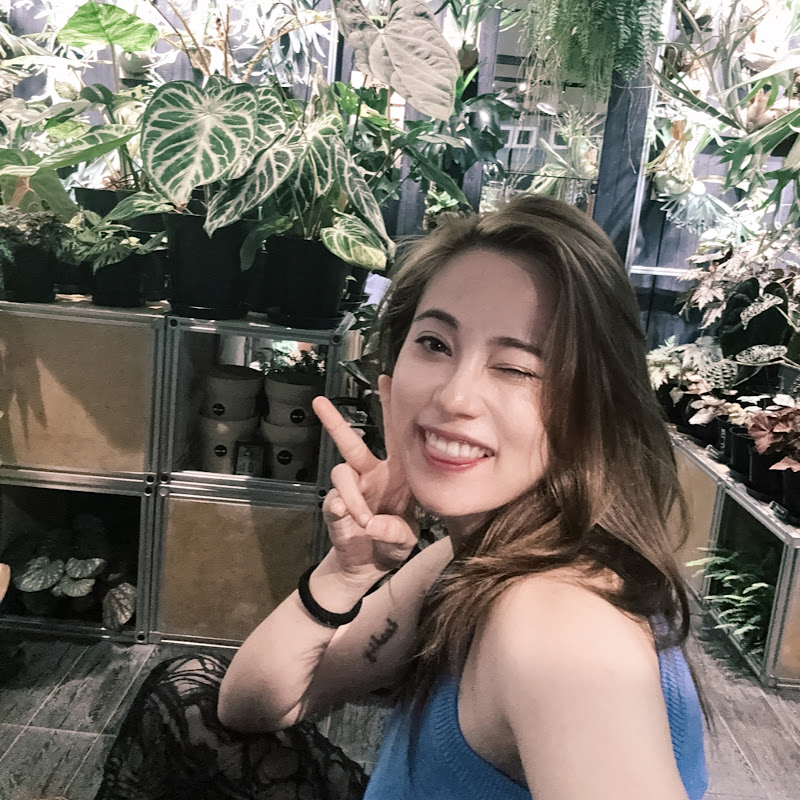 星星的疯狂日记 Logo