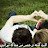 @Kaleidamer-s6h