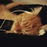 FBd31GmN0pM-channel-avatar-zoey